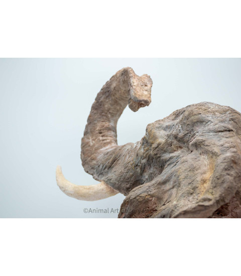Sculpture terre cuite Tete d'elephant Claire Cretu 5