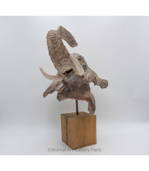 Sculpture terre cuite Tete d'elephant Claire Cretu 9