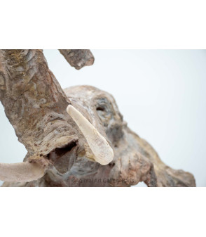 Sculpture terre cuite Tete d'elephant Claire Cretu 11
