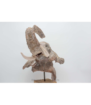 Sculpture terre cuite Tete d'elephant Claire Cretu 10