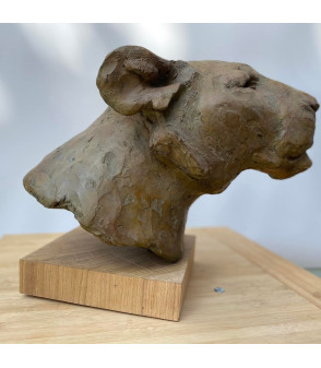 Jean-Marc Bodin, portrait de lionne, sculpture en bronze animalier, animal art gallery paris