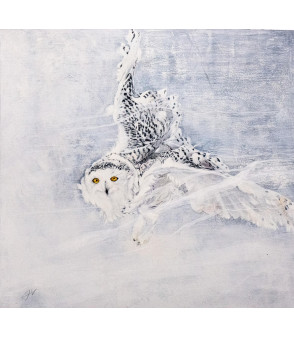« Harfang femelle en vol » par Julie Salmon pour Animal Art Gallery Paris