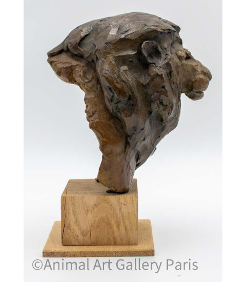 Sculpture bronze tete de lion Bodin 13