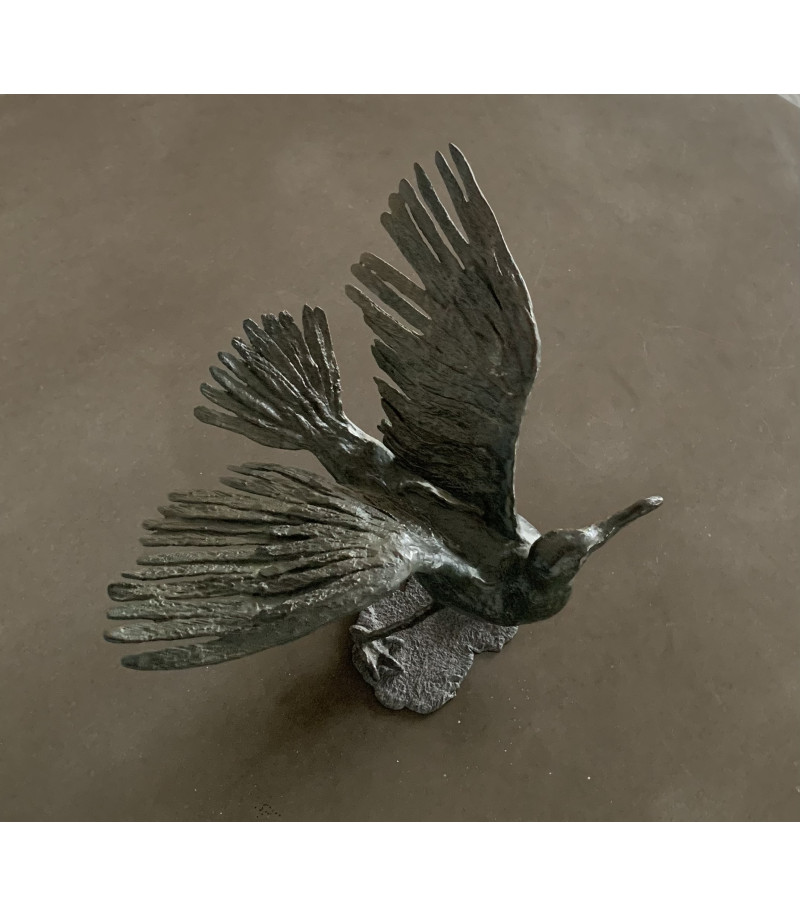 Petit Goeland sculpture en bronze, par Claudine Kanengieser pour Animal Art Gallery Paris