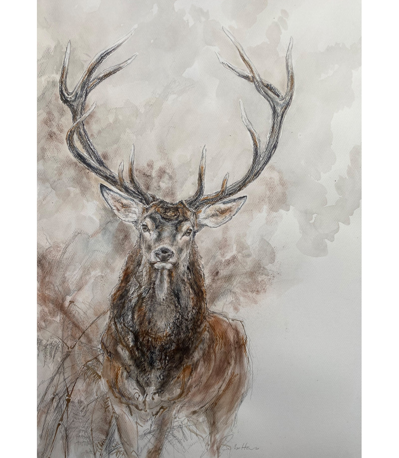 Cerf_Dessin_Aquarelle_Estelle_Rebottaro_Artiste_Animalier_Animal_Art_Gallery_Paris