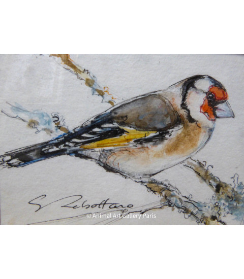 Peinture - Aquarelle - Oiseau - Chardonneret - Estelle Rebottaro - Artiste Animalier contemporain - 1