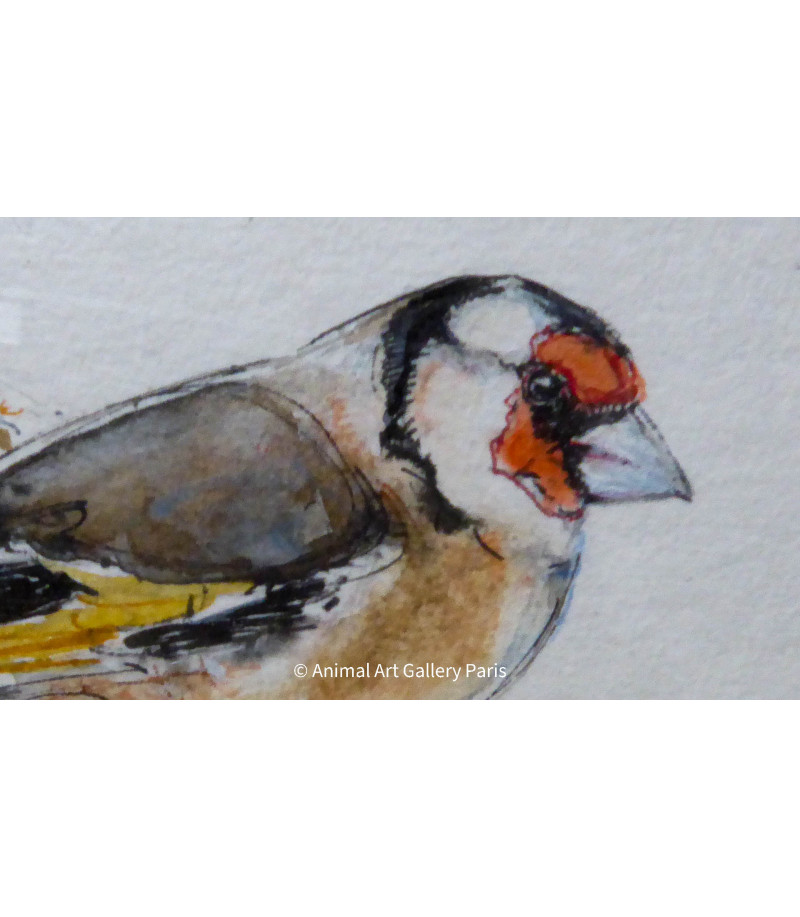 Peinture - Aquarelle - Oiseau - Chardonneret - Estelle Rebottaro - Artiste Animalier contemporain - 2