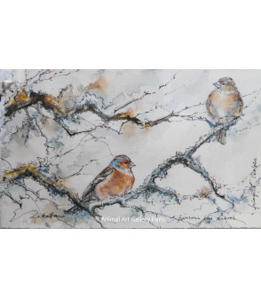 Peinture - Aquarelle - Oiseau - Couple de pinsons - Estelle Rebottaro - Artiste Animalier contemporain - 2
