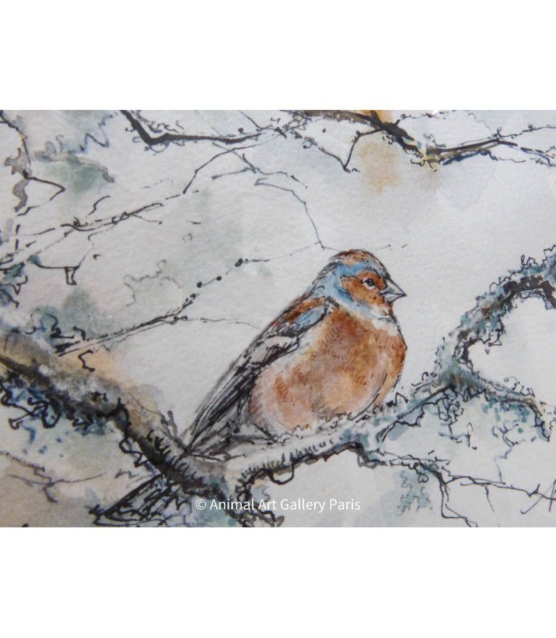 Peinture - Aquarelle - Oiseau - Couple de pinsons - Estelle Rebottaro - Artiste Animalier contemporain - 1