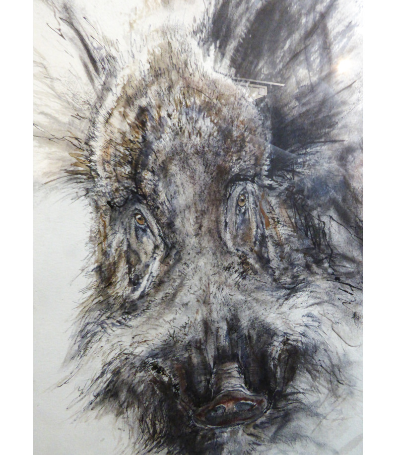 Hure de sanglier_Dessin_Aquarellé_Estelle_Rebottaro_Artiste_Animalier_Animal_Art_Gallery_Paris