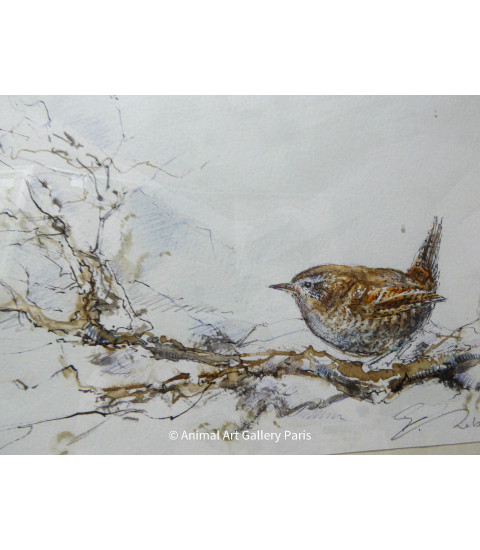 Peinture - Aquarelle - Oiseau - Troglodyte Mignon - Estelle Rebottaro - Artiste Animalier contemporain - 1
