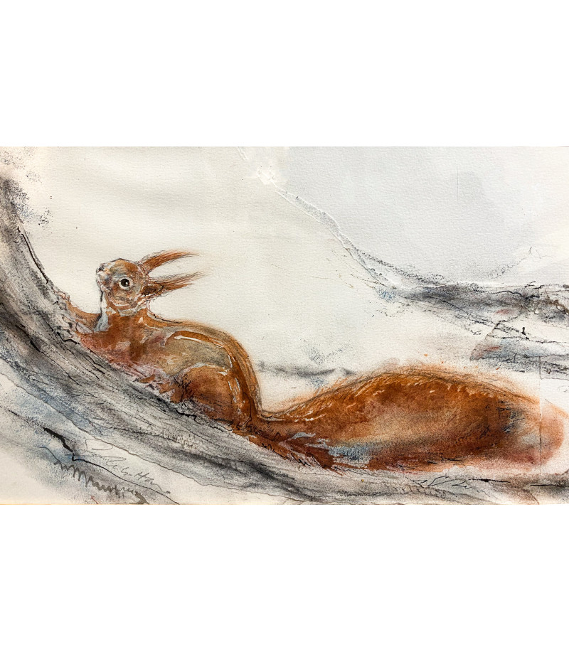 Ecureuil_Dessin_Aquarelle_Estelle_Rebottaro_Artiste_Animalier_Animal_Art_Gallery_Paris