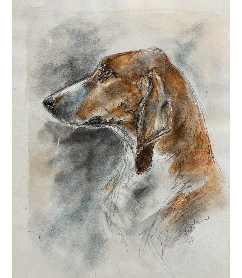 CHIEN DE CHASSE ANGLO-POITEVIN