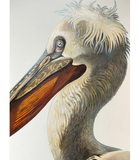 Pelican_Peinture_Huile_Prud'hon_Animal_Art_Gallery_Paris