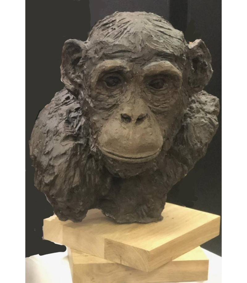 Sculpture en terre cuite Chimpanzé par Francine Mellier pour Animal Art Gallery Paris