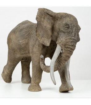 Tembo éléphant d'Afrique par Tania Boucard pour Animal Art Gallery Paris