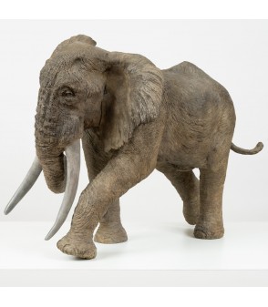 Tembo éléphant d'Afrique par Tania Boucard pour Animal Art Gallery Paris