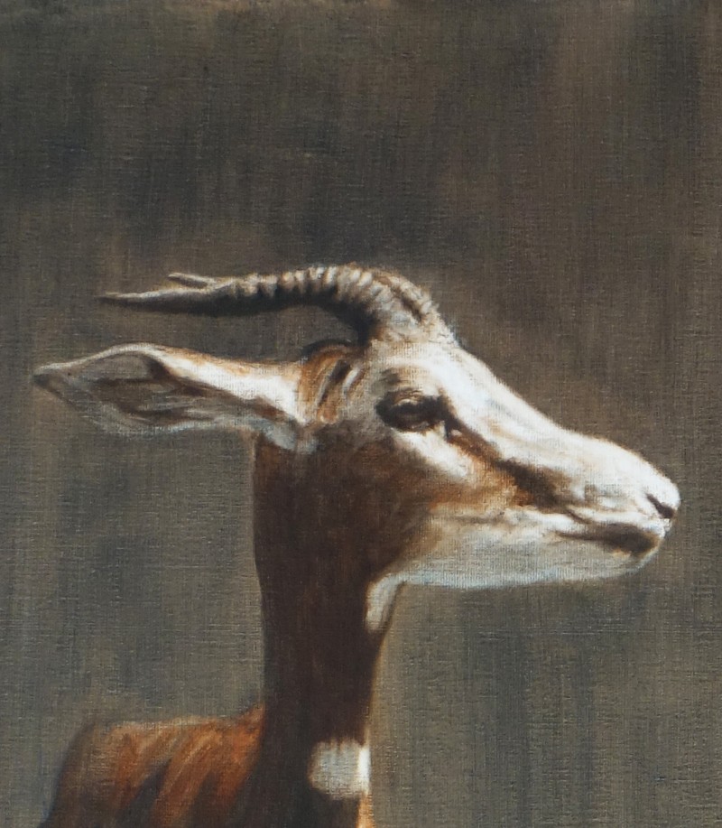 Gazelle de Mhorr par Igor Ly pour Animal Art Gallery Paris