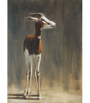 Gazelle de Mhorr par Igor Ly pour Animal Art Gallery Paris