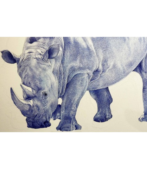 Dessin_stylo-a-bille_Rhinocéros_Cocordano_Animal_Art_Gallery