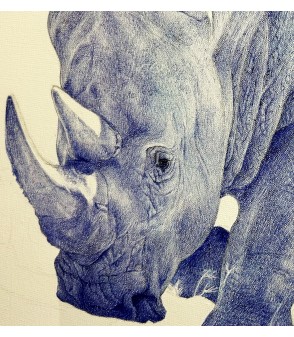 Dessin_stylo-a-bille_Rhinocéros_Cocordano_Animal_Art_Gallery