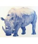 RHINOCÉROS (dessin au stylo bille)