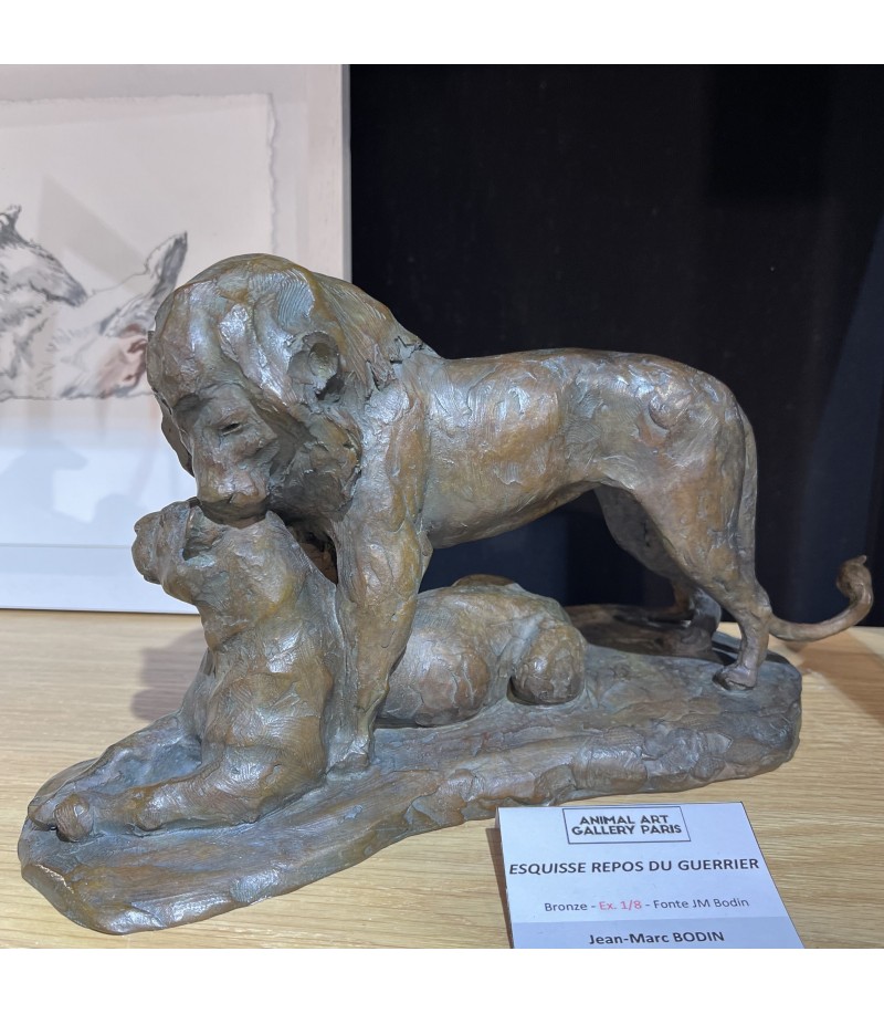 Le Repos du Guerrier (Esquisse) couple de lions par Jean-Marc Bodin pour Animal Art Gallery Paris