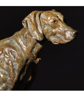 KAISER (Braque allemand) par Mick Doellinger pour Animal Art Gallery Paris