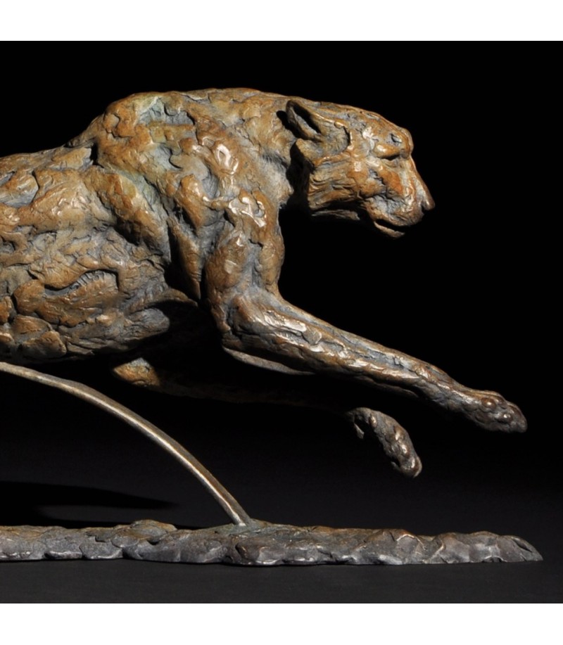GAINING GROUND (guépard, cheeta) par Mick Doellinger pour Animal Art Gallery Paris
