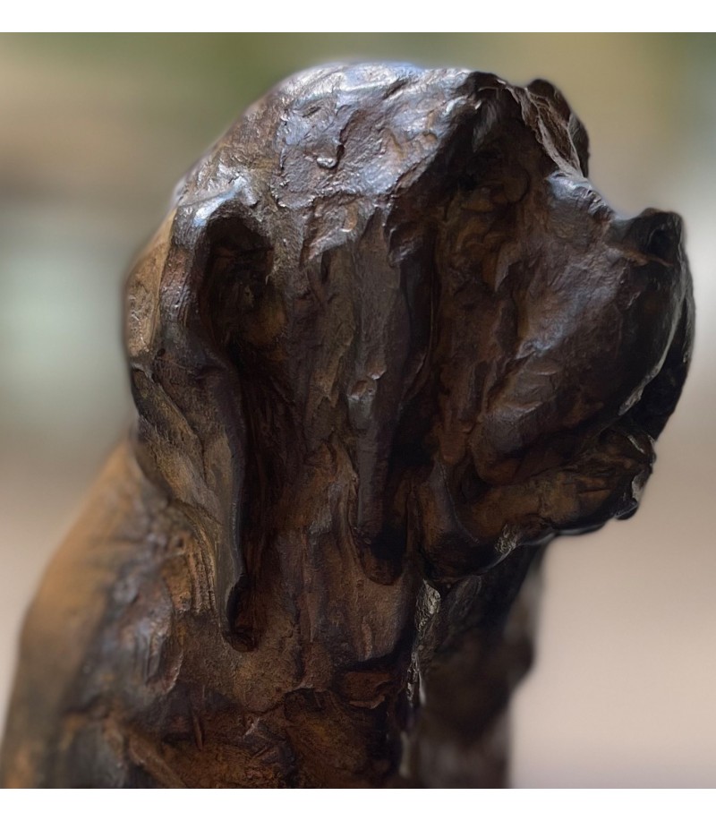 SAINT-BERNARD par Erick Aubry pour Animal Art Gallery Paris