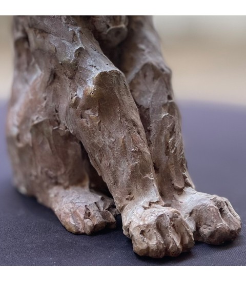 LE SAGE (chimpanzé) par Erick Aubry pour Animal Art Gallery Paris