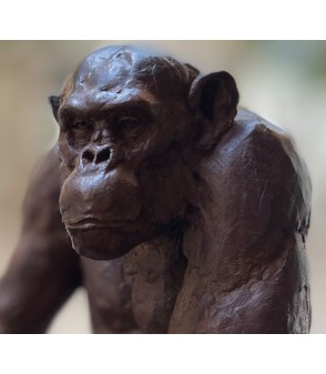 Le Sage, chimpanzé sculpture en bronze par Erick Aubry pour Animal Art Gallery Paris