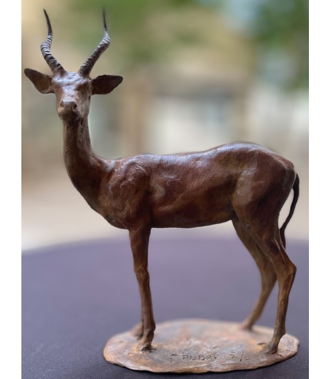 COB DE BUFFON (gazelle) par Erick Aubry pour Animal Art Gallery Paris