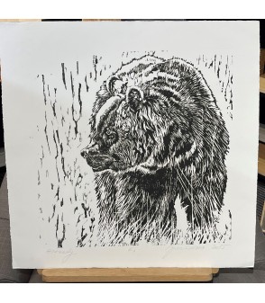 Grizzli ours noir américain Julie Salmon