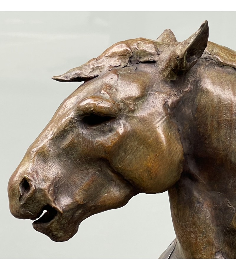 Sculpture-Portrait-de-cheval-Bodin