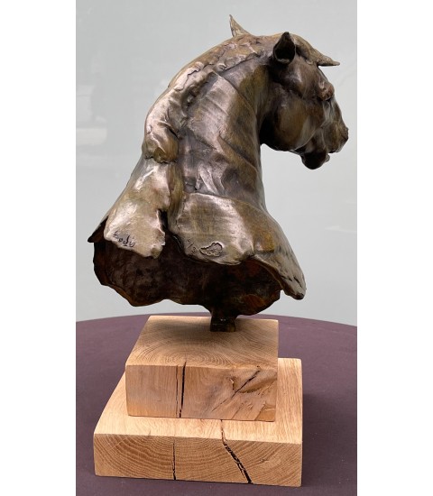 Sculpture-Portrait-de-cheval-Bodin