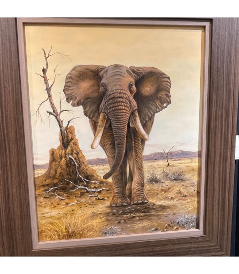 Pierre Couzy  Eléphant Afrique