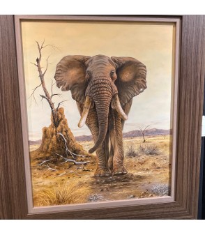 Pierre Couzy  Eléphant Afrique