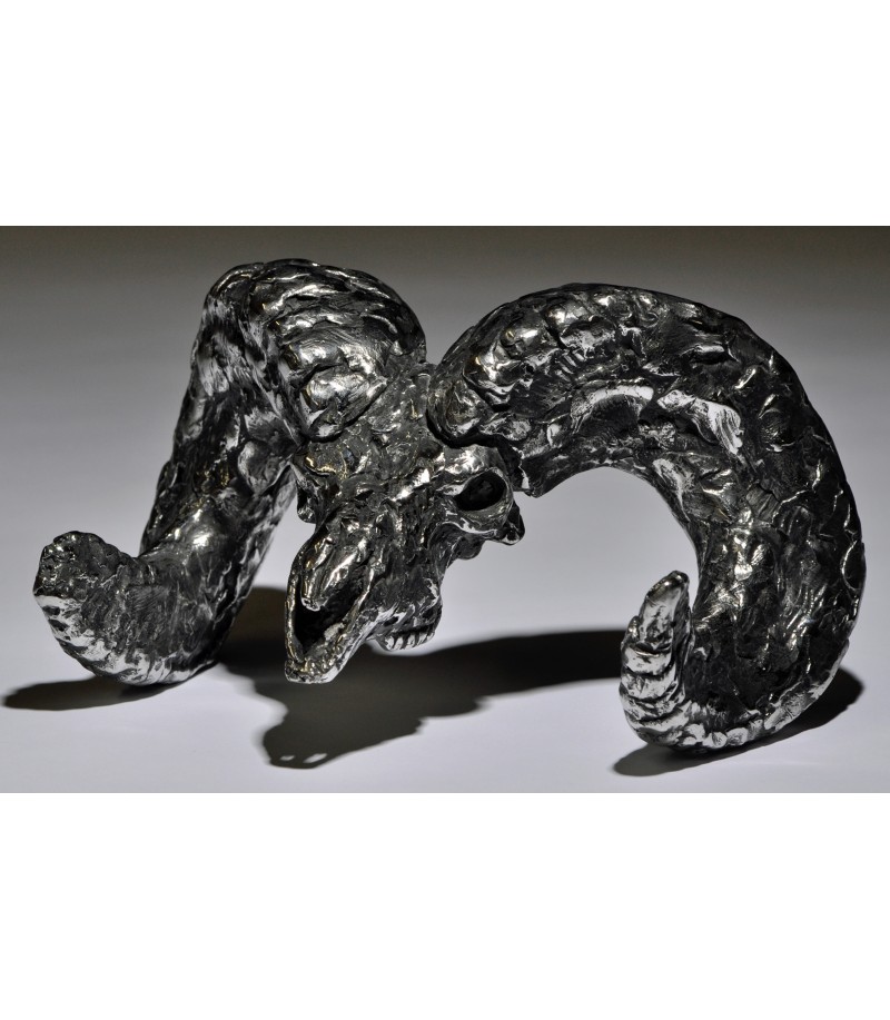 RAM SKULL (bélier) par Mick Doellinger pour Animal Art Gallery Paris
