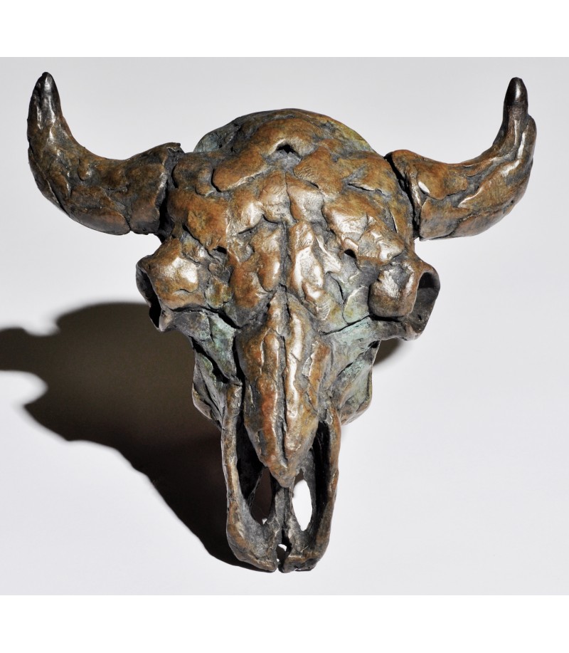 BISON SKULL (bison) par Mick Doellinger pour Animal Art Gallery Paris