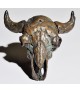 BISON SKULL