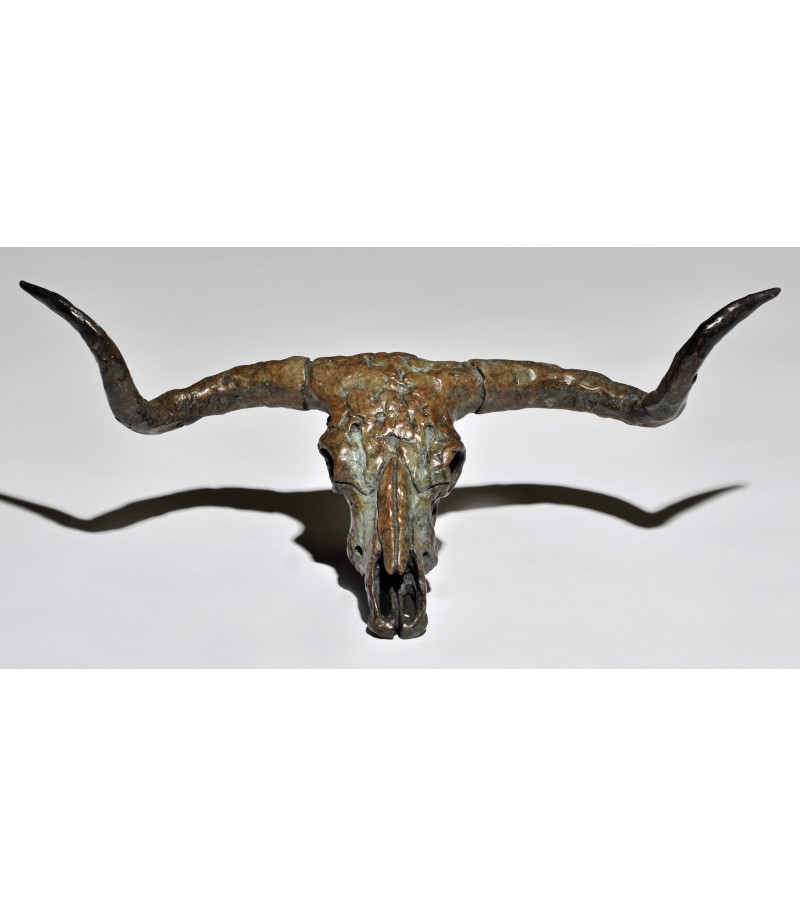 LONGHORN SKULL ( crâne de...