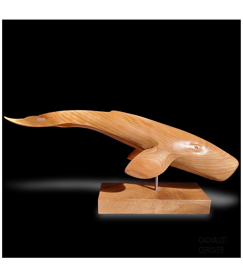 Cachalot, par Yann Fustec, sculpture en taille directe sur bois, animal art, art animalier