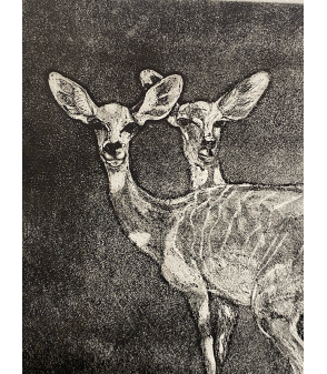 Petits koudous femelles, gravure par Julie Salmon pour Animal Art Gallery Paris