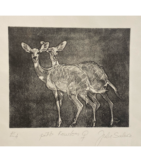 Petits koudous femelles, gravure par Julie Salmon pour Animal Art Gallery Paris