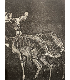 Petits koudous femelles, gravure par Julie Salmon pour Animal Art Gallery Paris