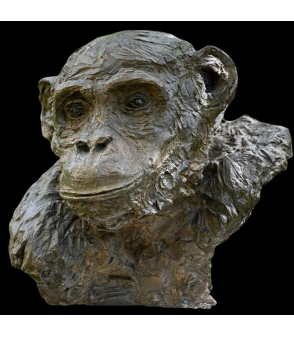 Chimpanzé sculpture animalière en bronze Francine Mellier pour Animal Art Gallery Paris