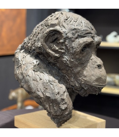 Sculpture en terre cuite Chimpanzé par Francine Mellier pour Animal Art Gallery Paris