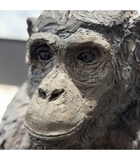 Sculpture en terre cuite Chimpanzé par Francine Mellier pour Animal Art Gallery Paris