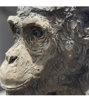 Sculpture en terre cuite Chimpanzé par Francine Mellier pour Animal Art Gallery Paris